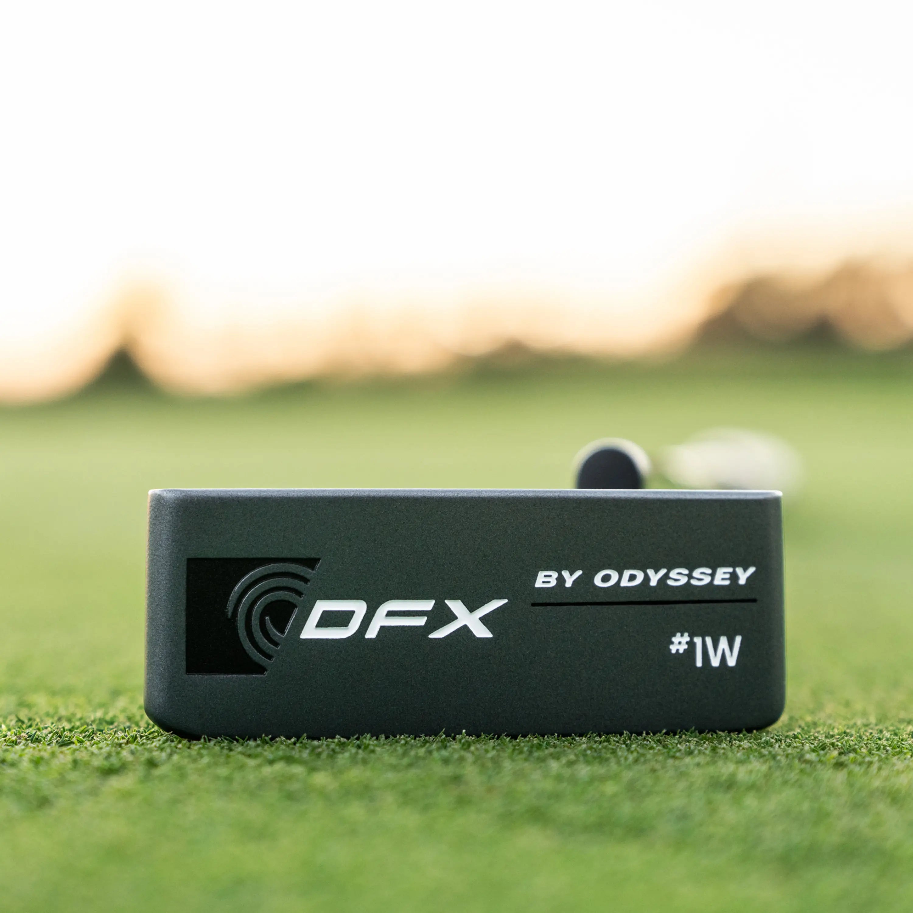 Odyssey DFX25 #1W CH Putter Golf